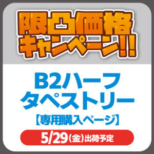 b2half_tapestry_special