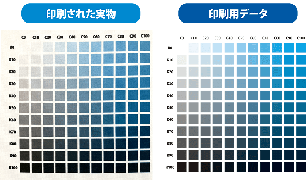 色味の比較画像